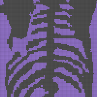 Copy of ribcage/spine chart