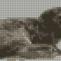 kegelrobbe_und_jungtiere_greichert-scaled.webp