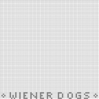 two Dachshund