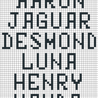Stocking Names