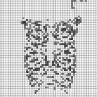 IMG_0406.jpeg
