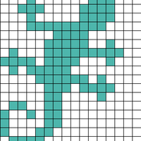 Copy of lizards