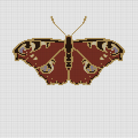 IMG_1037.png