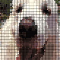 RenderedImage.jpeg