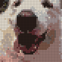 RenderedImage.jpeg