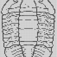 1597598084-Asaphus.jpg