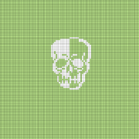 Hannah's Skull Hat