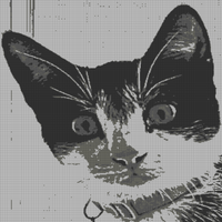 Screenshot 2023-11-04 at 23.28.39.png