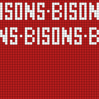 Bisons