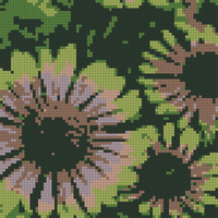 echinacea-green-twister-jezowka.jpg