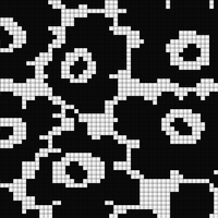 IMG_0100.jpeg