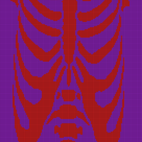 Front skeleton