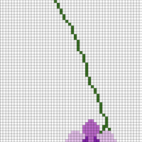 orchid