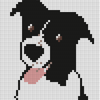 koda.JPG