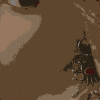 Datura.jpeg
