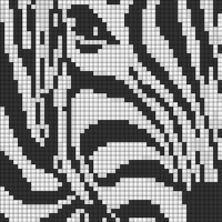 zebra sample
