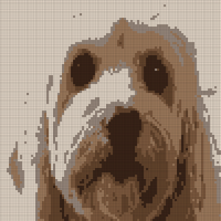 B24A8945-A8FA-4847-B5C0-05A321277C52.jpeg