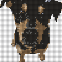 IMG_7205.png