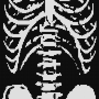 skeleton-body