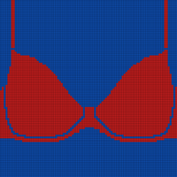 Copy of Bra