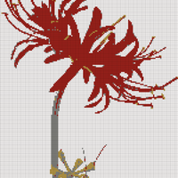 IMG_0473.jpeg