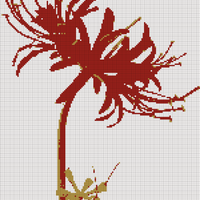 IMG_0473.jpeg