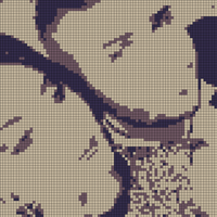 34534762_1668078259907172_3633586849752023040_n.jpg