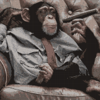 1-monkey-having-a-cigar-lise-gagne.jpg