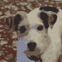 Screenshot_20231203_135828_Gallery.jpg