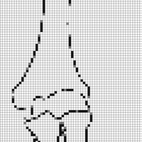 arm bones.png