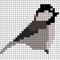 chickadee.png