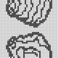 oyster-shell-set-vector-26724959-1.jpg