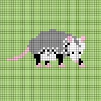 Possum