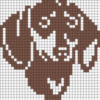 Copy of Dachhund