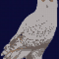 snowy owl.jpg