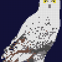 snowy owl.jpg