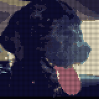 Lilly.jpeg
