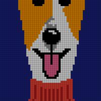 Dog portrait