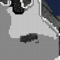 385490650_1732105793972953_8405034404519061034_n.jpg