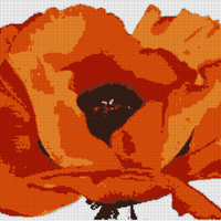 shopping.webp