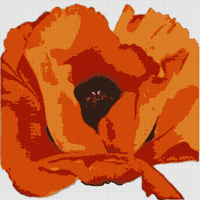 shopping.webp