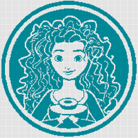 Merida frame