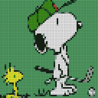 IMG_1392.jpeg