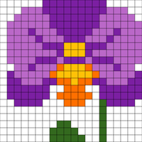 orchid socks