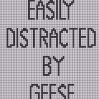 Easyly distracted by geese