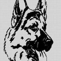 German Sheppard