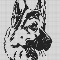 Copy of German Sheppard