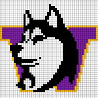 UW Husky
