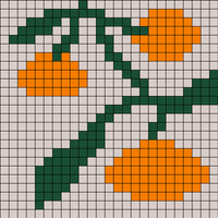 Copy of oranges