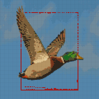 mallard-paint-by-numbers.jpg
